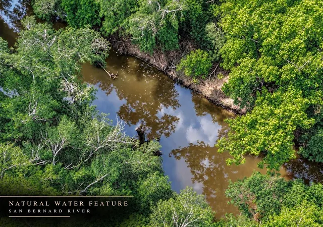Photo 3 of Land for sale at 1 Citeaux Ln, Needville, TX 77461 | MLS# 4227813 | Listing updated on 2026-09-22