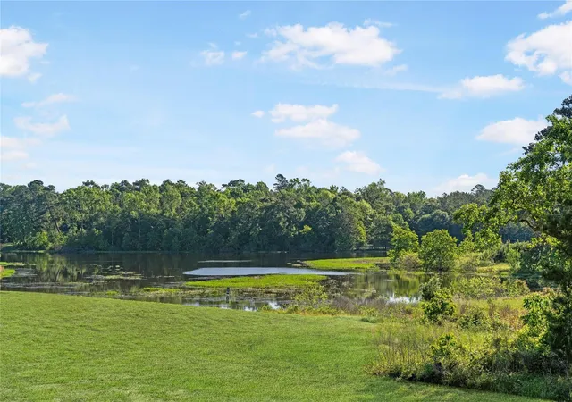 Photo 9 of Single family home for sale at 1619 Lorenzo Ln, Magnolia, TX 77354 | MLS# 16602105 | Listing updated on 2026-09-03