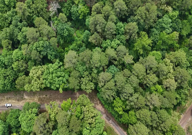 Photo 2 of Land for sale at 0 Tahiti, Jefferson, TX 75657 | MLS# 86053624 | Listing updated on 2026-09-27