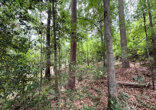 Photo 3 of Land for sale at 0 Tahiti, Jefferson, TX 75657 | MLS# 86053624 | Listing updated on 2026-09-27