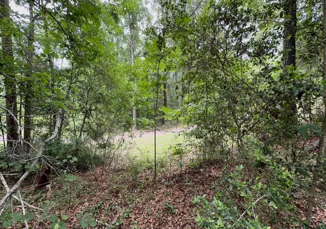 Photo 3 of Land for sale at 0 Tahiti, Jefferson, TX 75657 | MLS# 86053624 | Listing updated on 2026-09-27