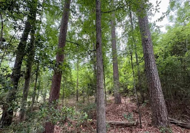 Photo 4 of Land for sale at 0 Tahiti, Jefferson, TX 75657 | MLS# 86053624 | Listing updated on 2026-09-27