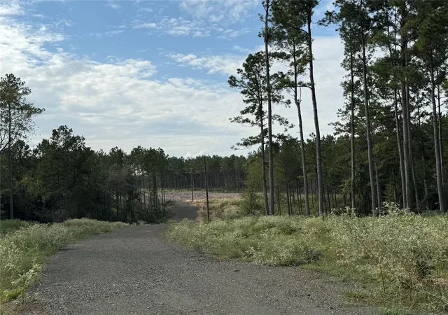 Photo 3 of Land for sale at 540 County Rd 4872 12, Timpson, TX 75975 | MLS# 96732444 | Listing updated on 2026-09-15
