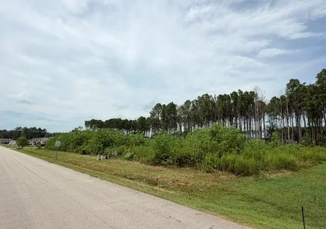 Photo 2 of Land for sale at 196 County Road 6614, Dayton, TX 77535 | MLS# 54530163 | Listing updated on 2026-09-03