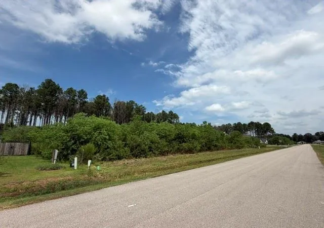 Photo 4 of Land for sale at 196 County Road 6614, Dayton, TX 77535 | MLS# 54530163 | Listing updated on 2026-09-03