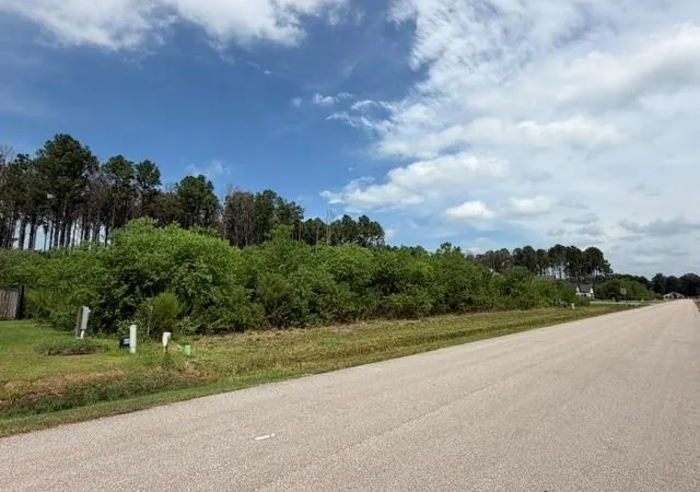 Photo 6 of Land for sale at 196 County Road 6614, Dayton, TX 77535 | MLS# 54530163 | Listing updated on 2026-09-03