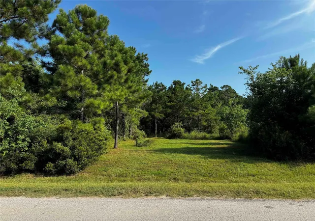 Photo 4 of Land for sale at 801 County Rd 3479j, Cleveland, TX 77327 | MLS# 11991496 | Listing updated on 2026-09-02