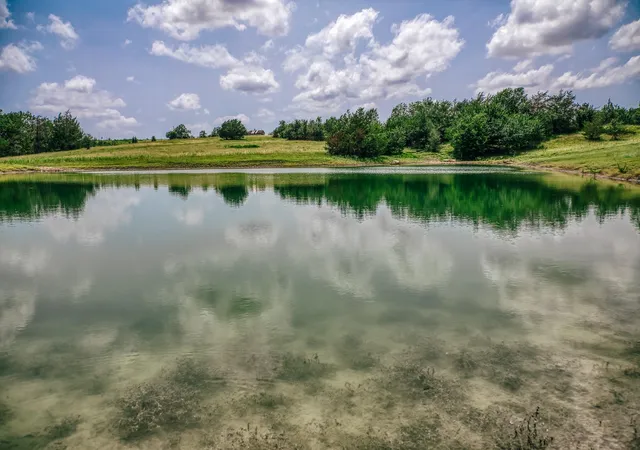 Photo 1 of Land for sale at 9909 Latium Cemetery Rd Tract 4, Burton, TX 77835 | MLS# 14306113 | Listing updated on 2026-09-15