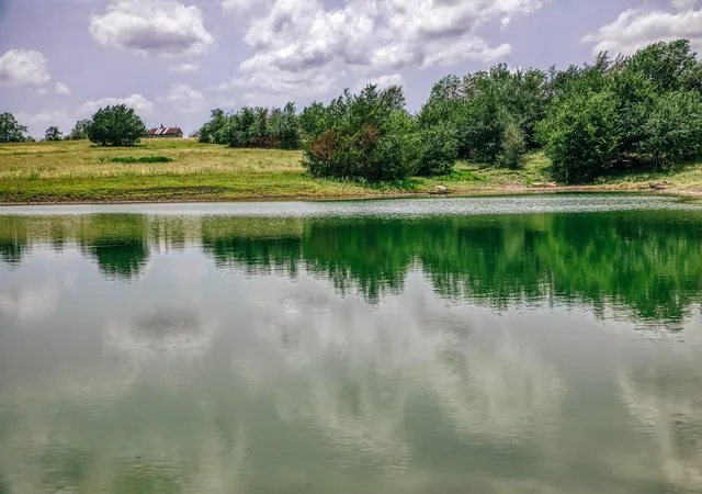 Photo 3 of Land for sale at 9909 Latium Cemetery Rd Tract 4, Burton, TX 77835 | MLS# 14306113 | Listing updated on 2026-09-15