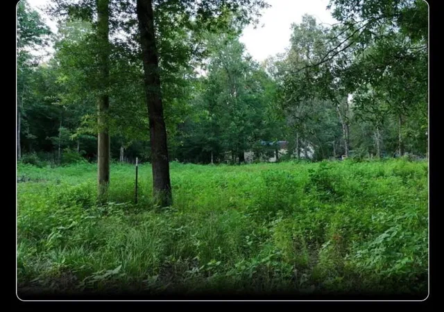 Photo 2 of Land for sale at 000 Panther Ln, Livingston, TX 77351 | MLS# 89902730 | Listing updated on 2026-09-16