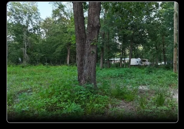 Photo 3 of Land for sale at 000 Panther Ln, Livingston, TX 77351 | MLS# 89902730 | Listing updated on 2026-09-16