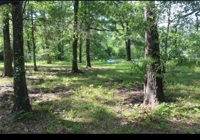 Photo 3 of Land for sale at 000 Panther Ln, Livingston, TX 77351 | MLS# 89902730 | Listing updated on 2026-09-16