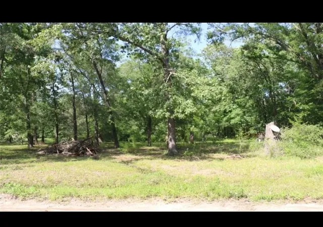 Photo 4 of Land for sale at 000 Panther Ln, Livingston, TX 77351 | MLS# 89902730 | Listing updated on 2026-09-16