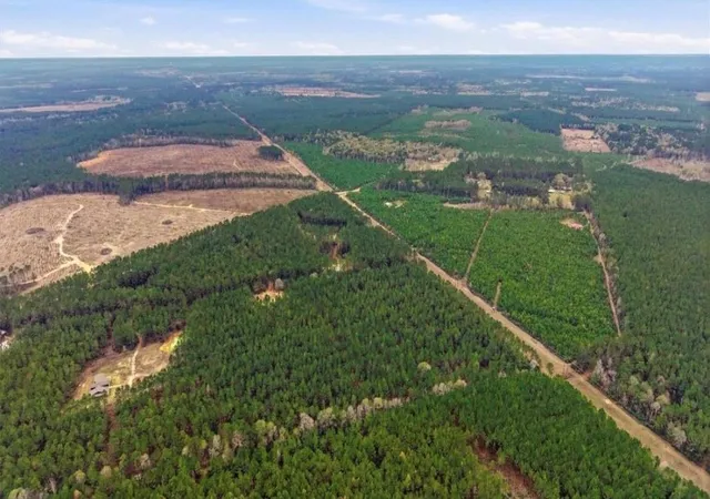 Photo 1 of Land for sale at 1208 Holly Grv Rd, Livingston, TX 77351 | MLS# 87247123 | Listing updated on 2026-09-26