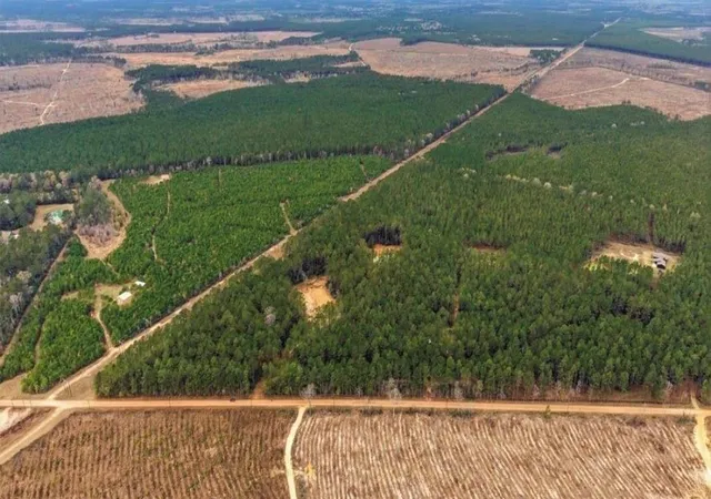 Photo 2 of Land for sale at 1208 Holly Grv Rd, Livingston, TX 77351 | MLS# 87247123 | Listing updated on 2026-09-26