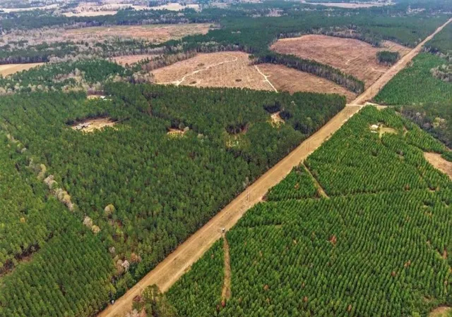 Photo 3 of Land for sale at 1208 Holly Grv Rd, Livingston, TX 77351 | MLS# 87247123 | Listing updated on 2026-09-26