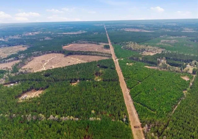 Photo 3 of Land for sale at 1208 Holly Grv Rd, Livingston, TX 77351 | MLS# 87247123 | Listing updated on 2026-09-26
