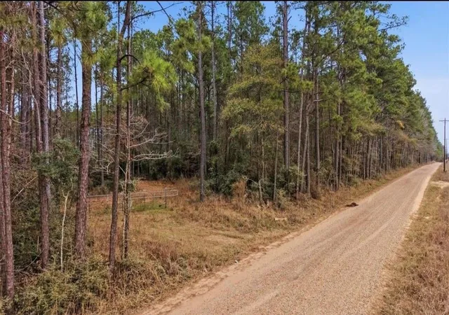 Photo 4 of Land for sale at 1208 Holly Grv Rd, Livingston, TX 77351 | MLS# 87247123 | Listing updated on 2026-09-26