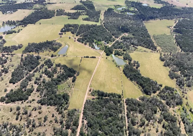 Photo 4 of Land for sale at Tbd Lot 3 191 Paffen Rd, Paige, TX 78659 | MLS# 41972418 | Listing updated on 2026-09-04