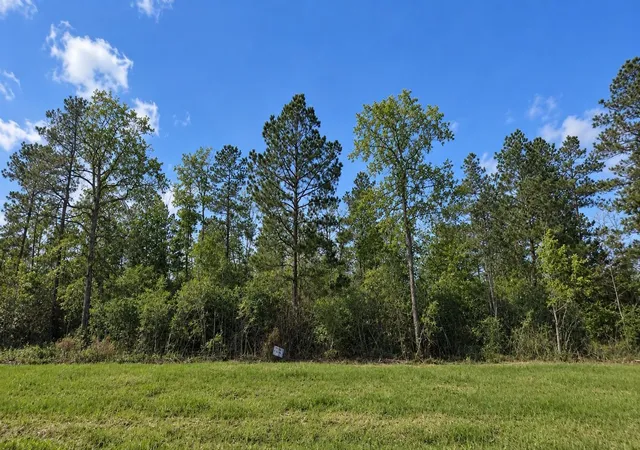 Photo 3 of Land for sale at 377 Exploration Rd, New Waverly, TX 77358 | MLS# 14751017 | Listing updated on 2026-09-19