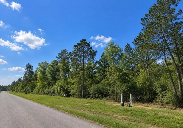 Photo 4 of Land for sale at 377 Exploration Rd, New Waverly, TX 77358 | MLS# 14751017 | Listing updated on 2026-09-19