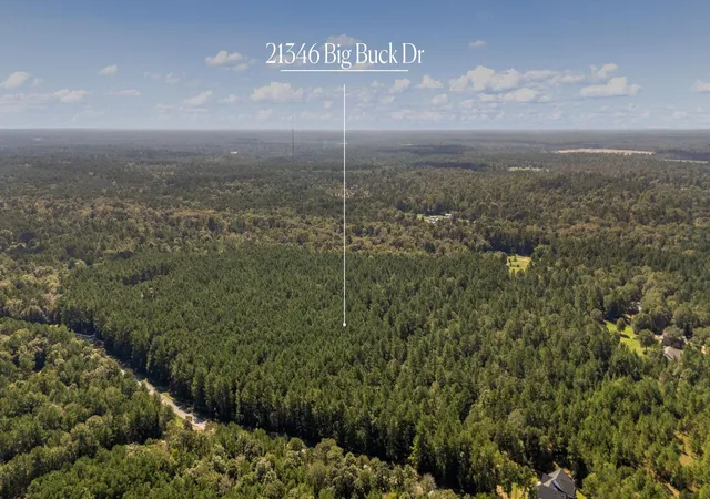 Photo 2 of Land for sale at 21346 Big Buck Dr, Cleveland, TX 77328 | MLS# 18943169 | Listing updated on 2026-09-22
