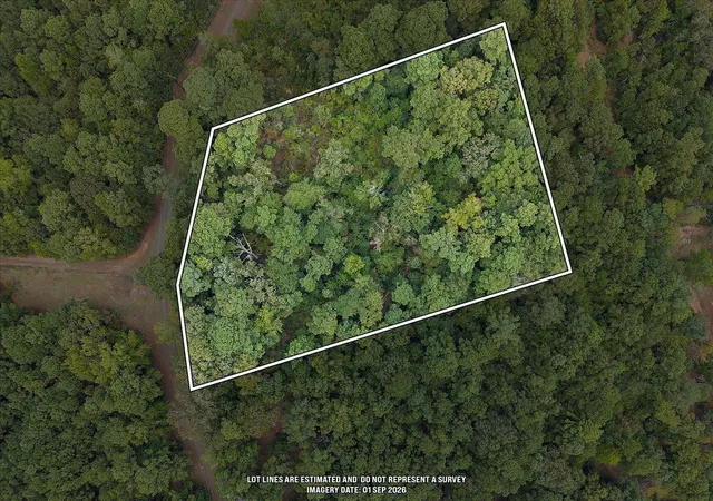 Land for sale at 0 Rods Rd, Hemphill, TX 75948 | MLS# 20072849