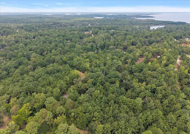 Photo 4 of Land for sale at 0 Rods Rd, Hemphill, TX 75948 | MLS# 20072849 | Listing updated on 2026-10-06