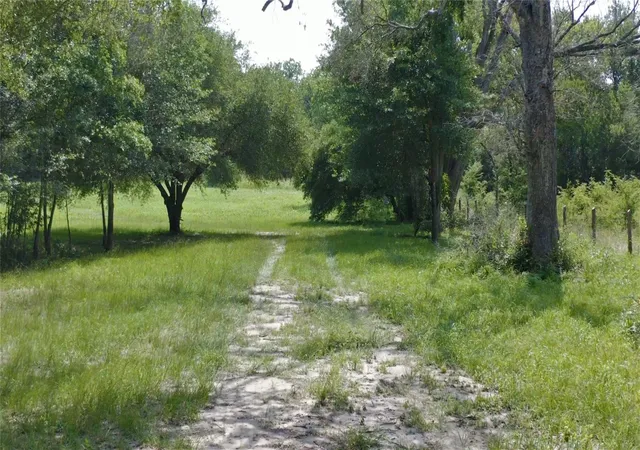 Photo 3 of Land for sale at 00 Fm 390 N, Brenham, TX 77833 | MLS# 47916956 | Listing updated on 2026-09-12