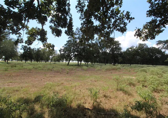 Photo 1 of Land for sale at Tbd Bowler Rd, Waller, TX 77484 | MLS# 20200594 | Listing updated on 2026-09-11