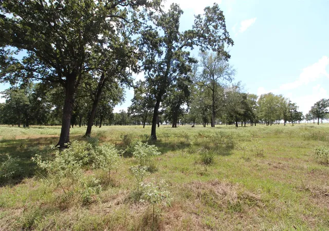Photo 2 of Land for sale at Tbd Bowler Rd, Waller, TX 77484 | MLS# 20200594 | Listing updated on 2026-09-11