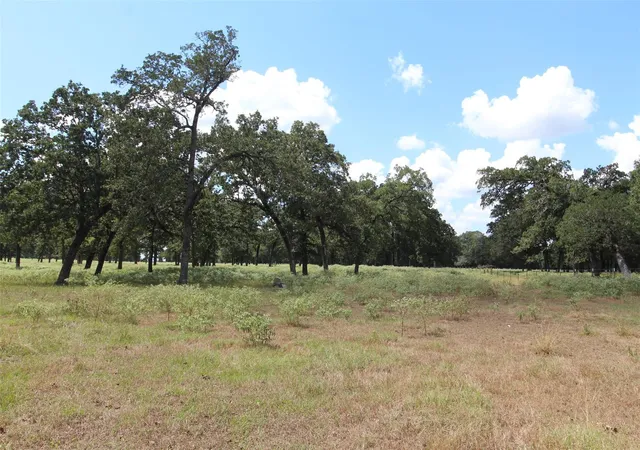 Photo 4 of Land for sale at Tbd Bowler Rd, Waller, TX 77484 | MLS# 20200594 | Listing updated on 2026-09-11