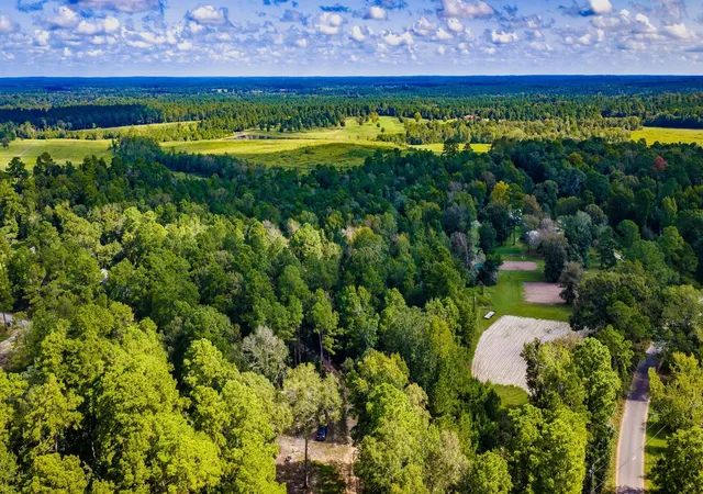 Photo 2 of Land for sale at Tbd Old Israel Rd, Livingston, TX 77351 | MLS# 39733081 | Listing updated on 2026-09-18