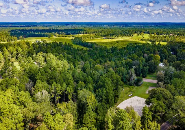 Photo 3 of Land for sale at Tbd Old Israel Rd, Livingston, TX 77351 | MLS# 39733081 | Listing updated on 2026-09-18