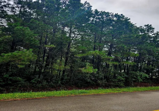Photo 4 of Land for sale at 17035 Salado Dr, Splendora, TX 77372 | MLS# 3252463 | Listing updated on 2026-09-04