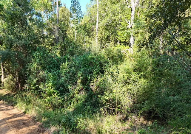 Photo 2 of Land for sale at Tbd Dillion Rd, Livingston, TX 77351 | MLS# 12522391 | Listing updated on 2026-09-24