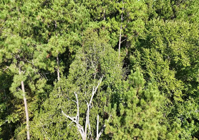 Photo 3 of Land for sale at Tbd Dillion Rd, Livingston, TX 77351 | MLS# 12522391 | Listing updated on 2026-09-24