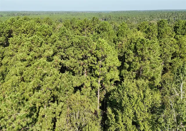 Photo 4 of Land for sale at Tbd Dillion Rd, Livingston, TX 77351 | MLS# 12522391 | Listing updated on 2026-09-24