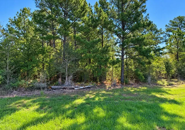 Photo 1 of Land for sale at Tbd Oakwood Dr, Huntsville, TX 77320 | MLS# 64279472 | Listing updated on 2026-09-07