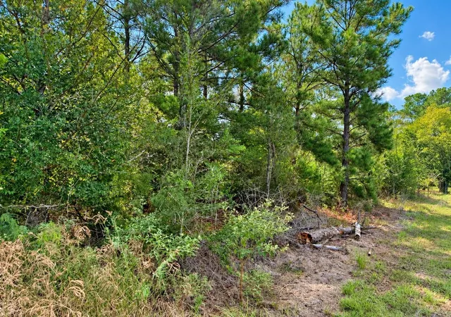 Photo 2 of Land for sale at Tbd Oakwood Dr, Huntsville, TX 77320 | MLS# 64279472 | Listing updated on 2026-09-07