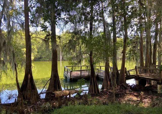 Photo 2 of Single family home for sale at 239 Ferguson Dr, Cleveland, TX 77327 | MLS# 67285356 | Listing updated on 2026-09-08