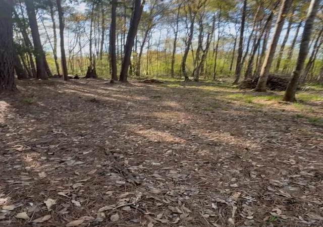 Land for sale at 00 Musgrove Muscat, Shepherd, TX 77371 | MLS# 23241296