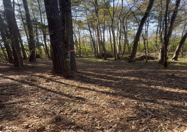 Photo 2 of Land for sale at 00 Musgrove Muscat, Shepherd, TX 77371 | MLS# 23241296 | Listing updated on 2026-09-22