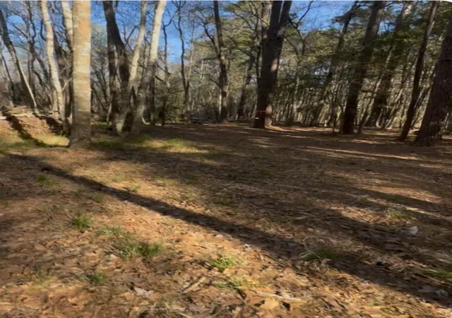 Photo 3 of Land for sale at 00 Musgrove Muscat, Shepherd, TX 77371 | MLS# 23241296 | Listing updated on 2026-09-22