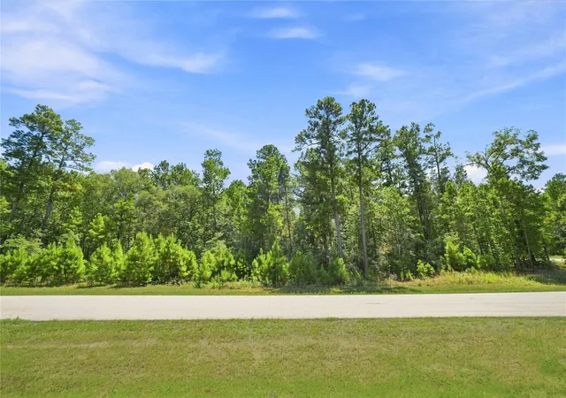 Photo 4 of Land for sale at 8-6-293 Stillwater Rd, Huntsville, TX 77340 | MLS# 14711561 | Listing updated on 2026-09-02