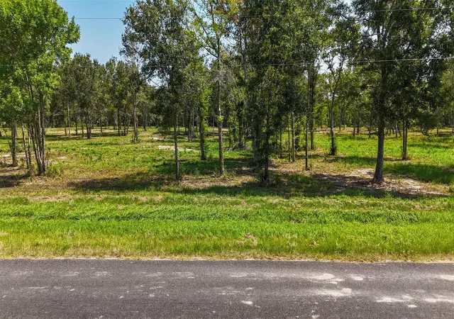 Photo 18 of Land for sale at 1977 County Rd 105, Devers, TX 77538 | MLS# 3076995 | Listing updated on 2026-09-23