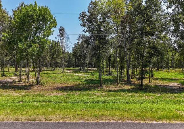 Photo 3 of Land for sale at 1977 County Rd 105, Devers, TX 77538 | MLS# 3076995 | Listing updated on 2026-09-23