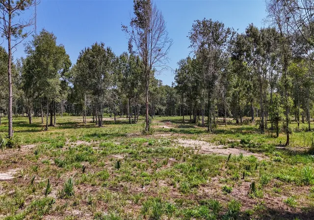 Photo 3 of Land for sale at 1977 County Rd 105, Devers, TX 77538 | MLS# 3076995 | Listing updated on 2026-09-23