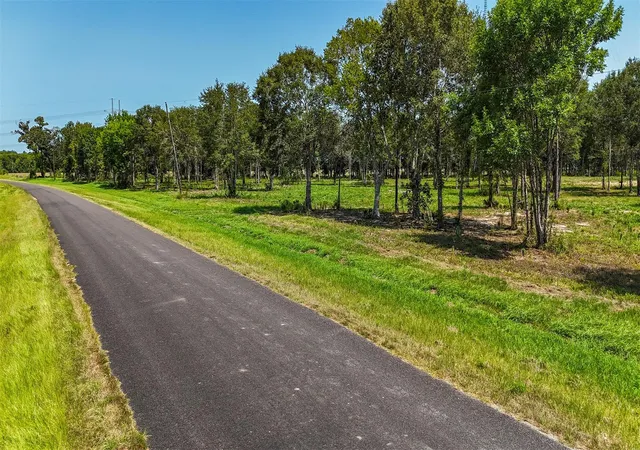 Photo 4 of Land for sale at 1977 County Rd 105, Devers, TX 77538 | MLS# 3076995 | Listing updated on 2026-09-23