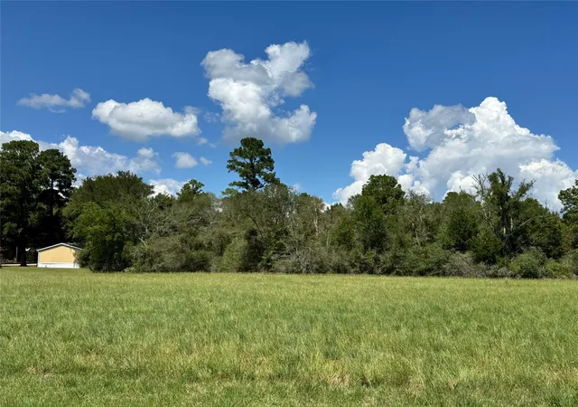 Photo 3 of Land for sale at Tbd04 Westlake Rd, Trinity, TX 75862 | MLS# 46560903 | Listing updated on 2026-09-05